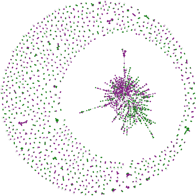 Una red de discusión sobre aborto en Chile, en julio y agosto de 2013. Elaboración propia utilizando <a href="https://graph-tool.skewed.de/">graph-tool</a>. El color de cada nodo define su posición respecto al aborto: pro-elección (púrpura) o conservadora (verde). Sí, hoy el color verde es asociado a pro-elección, pero ese año todavía no existían los pañuelos verdes :)