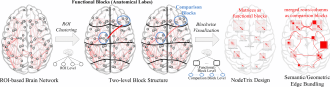 Fuente: Yang et al, Blockwise human brain network visual comparison using NodeTrix representation.