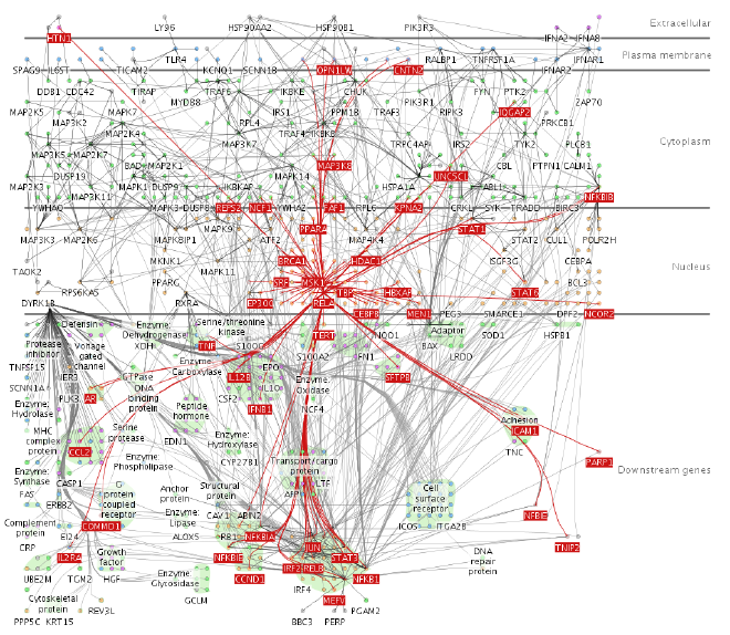 Sistema Cerebral. Fuente: A. Barsky et al. Cerebral: a Cytoscape plugin for layout of and interaction with biological networks using subcellular localization annotation.