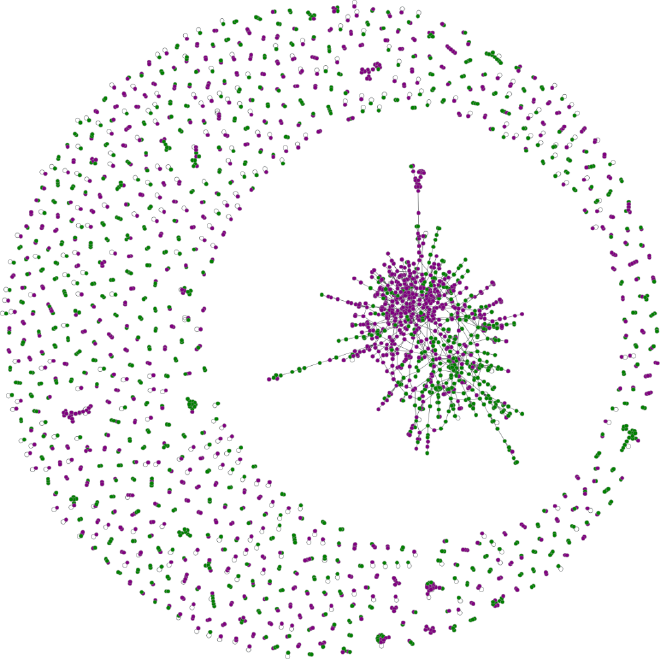 Una red de discusión sobre aborto en Chile, en julio y agosto de 2013. Elaboración propia utilizando <a href="https://graph-tool.skewed.de/" target="_blank" rel="noreferrer">graph-tool</a>. El color de cada nodo define su posición respecto al aborto: pro-elección (púrpura) o conservadora (verde). Sí, hoy el color verde es asociado a pro-elección, pero ese año todavía no existían los pañuelos verdes :)