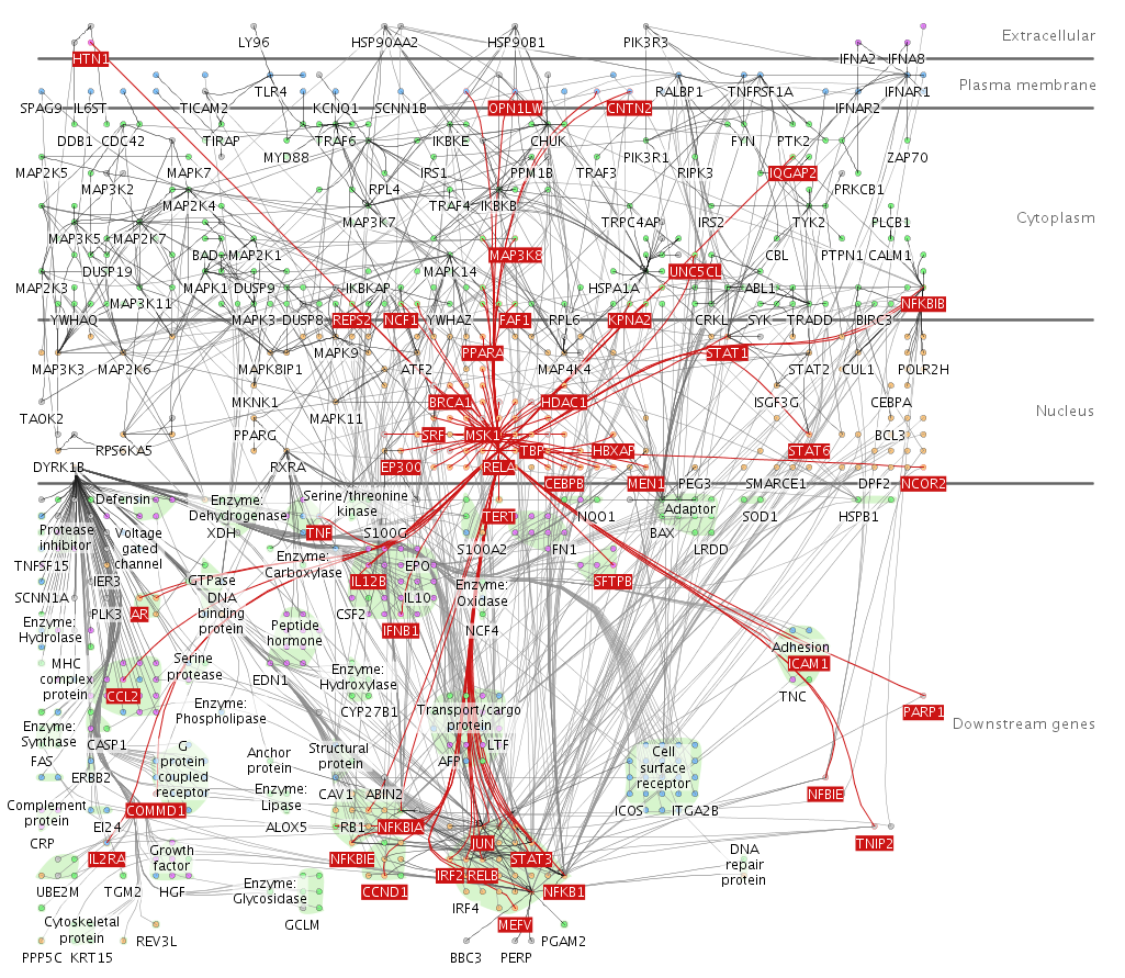 Sistema Cerebral. Fuente: A. Barsky et al. Cerebral: a Cytoscape plugin for layout of and interaction with biological networks using subcellular localization annotation.